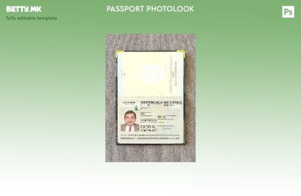 Модерен стил шаблон за изглед на фотографија од верзија на пасош на Чиле