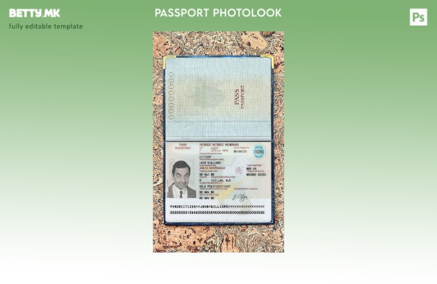 Модерен стил шаблон за изглед на фотографија од пасош на Норвешка