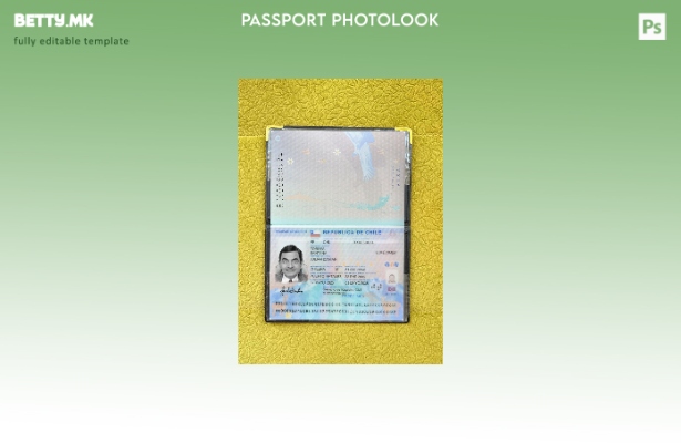 Модерен стил, шаблон за презентација на пасош на Чиле