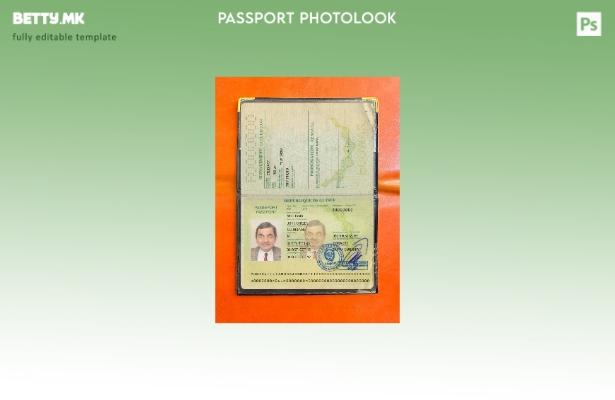 Модерен стил, шаблон за фото изглед за верзија на пасош на Гвинеја