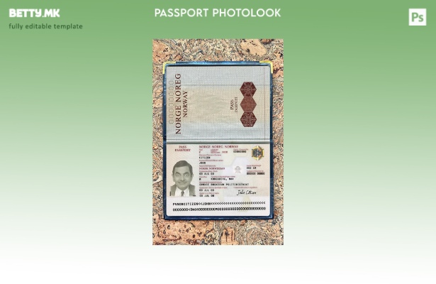 Модерен стил, шаблон за фото изглед на верзијата на норвешкиот пасош
