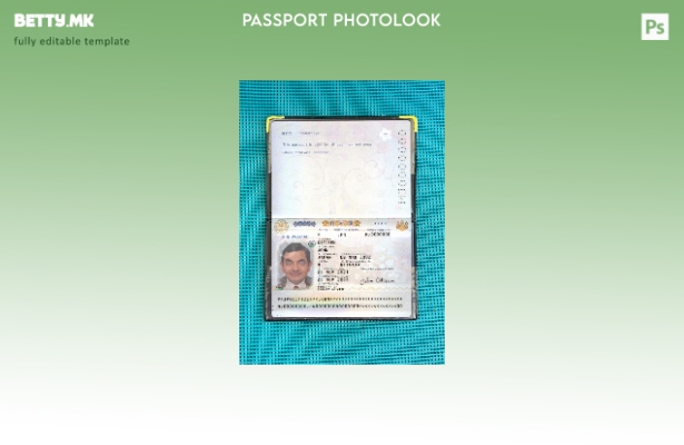 Модерен стил, јапонски пасош присутен шаблон за фото изглед