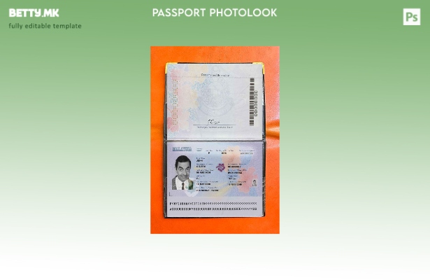 Модерен стилски шаблон за изглед на слика за пасош на Малезија (сегашен).