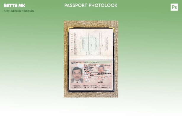 Модерен стилски шаблон за презентација на пасош на Мексико