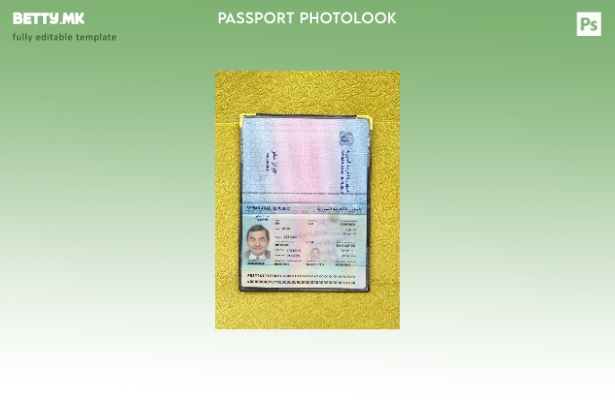 Модерен стилски шаблон за сегашен пасош за Сирија