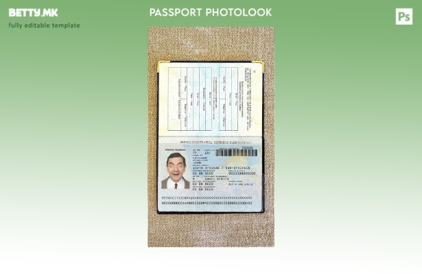 Модерен стилски шаблон за слика за пасош на Јужна Африка ( ).