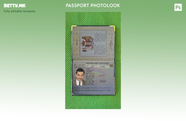 Модерен стилски шаблон за фото изглед за пасош на Нов Зеланд ( ).