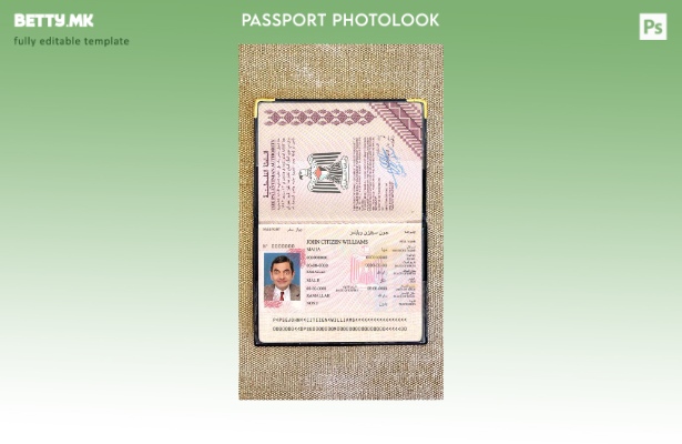 Шаблон за изглед на палестински пасош во модерен стил
