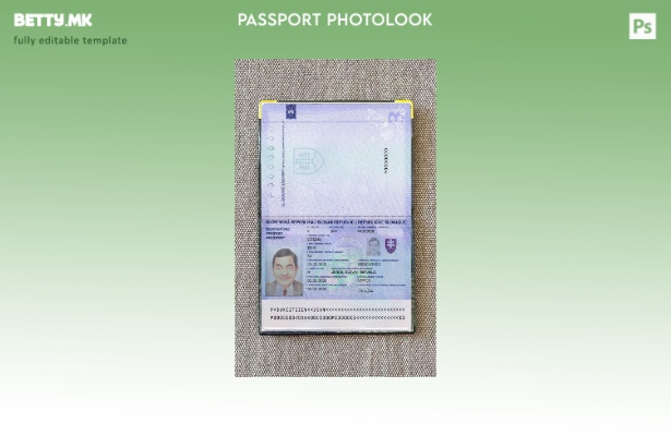 Шаблон за изглед на слика за пасош на Словачка во модерен стил