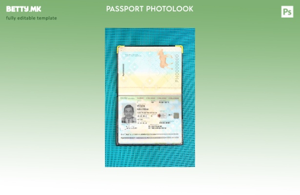 Шаблон за изглед на слика за пасош на Финска во модерен стил