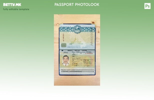 Шаблон за изглед на фото пасош на Лаос во модерен стил