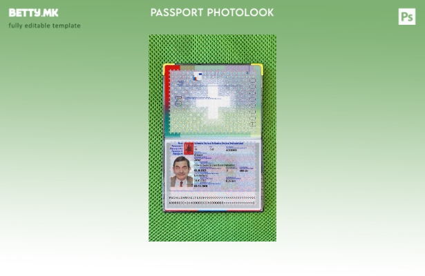 Шаблон за изглед на фотографија од пасош на Швајцарија во модерен стил