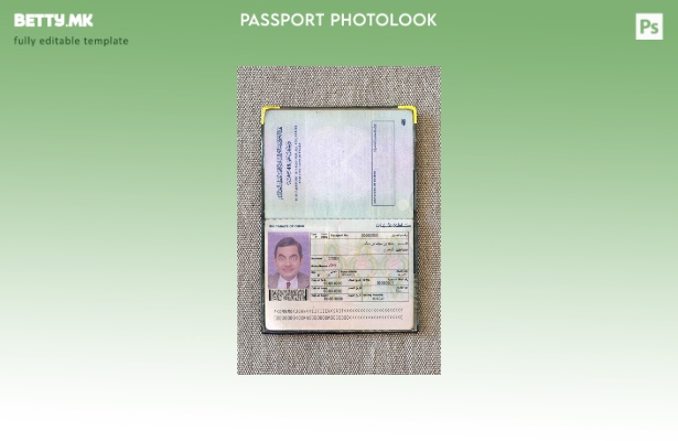 Шаблон за изглед на фотографски пасош ( ) во модерен стил 1