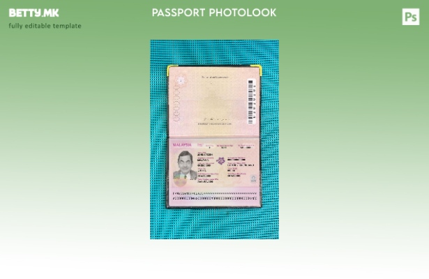 Шаблон за изглед на фотографски пасош ( ) во модерен стил
