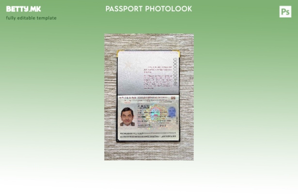 Шаблон за изглед на фотографски пасош (сегашен) во модерен стил