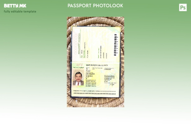 Шаблон за модерен стил Гвинеја пасош ( ).