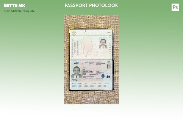 модерен стил Дански пасош присутен шаблон за фото изглед