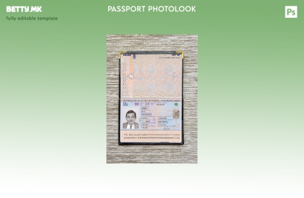 модерен стил Литвански пасош нов сегашен шаблон за фотоизглед