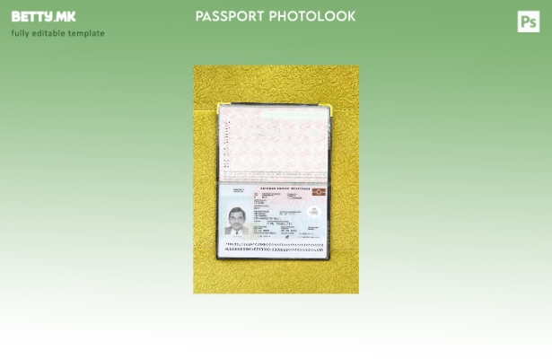 модерен стил Мексикански пасош нов сегашен шаблон за фотоизглед