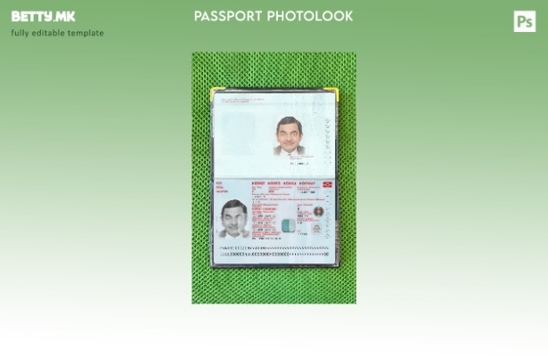 модерен стил Норвешки пасош нов сегашен шаблон за фотоизглед