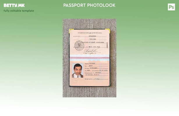 модерен стил Шаблон за изглед на фотографија од пасош на народната република Луг