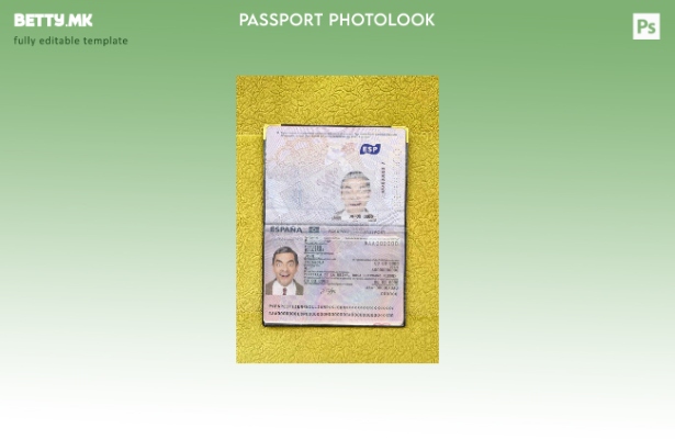 модерен стил шпански пасош од шаблон за изглед на фотографија