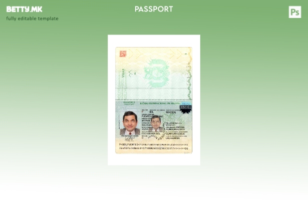 Модерен стил Боливиски пасош сегашен шаблон