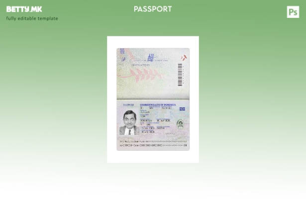 Модерен стил Доминика пасош сегашен шаблон