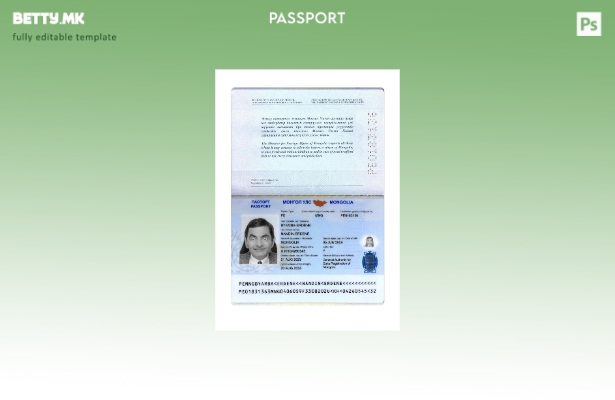 Модерен стил Монголија пасош сегашен шаблон