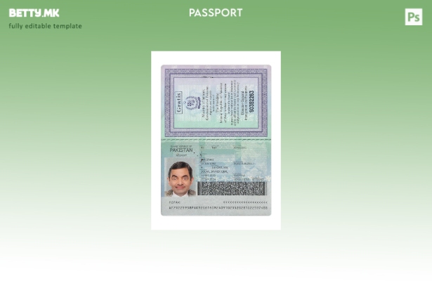 Модерен стил Пакистански сегашен шаблон за пасош