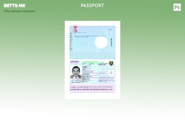 Модерен стил Словачки пасош сегашен шаблон