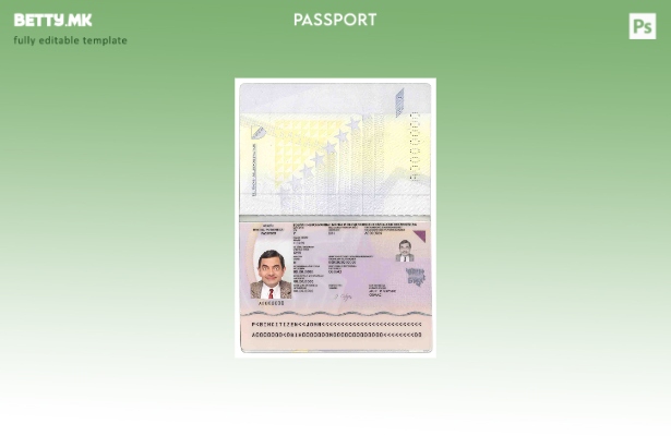 Модерен стил Шаблон за пасош на Босна и Херцеговина