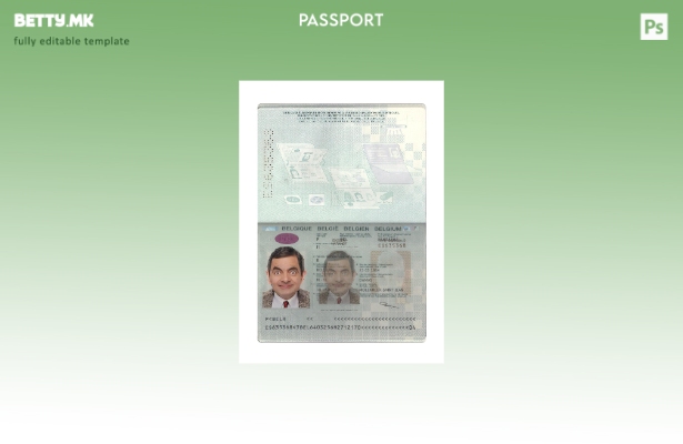Модерен стил белгиски пасош сегашен шаблон