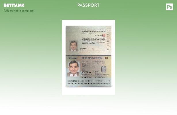 Модерен стил за присутен шаблон за корејски пасош 1