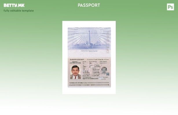 Модерен стил за присутен шаблон за корејски пасош