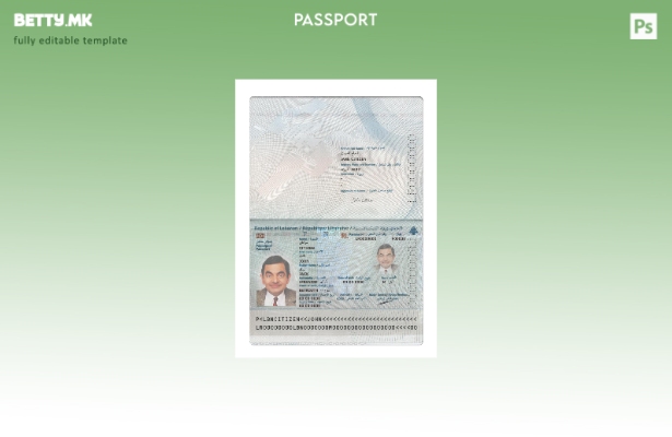 Модерен стил либански пасош сегашен шаблон 2