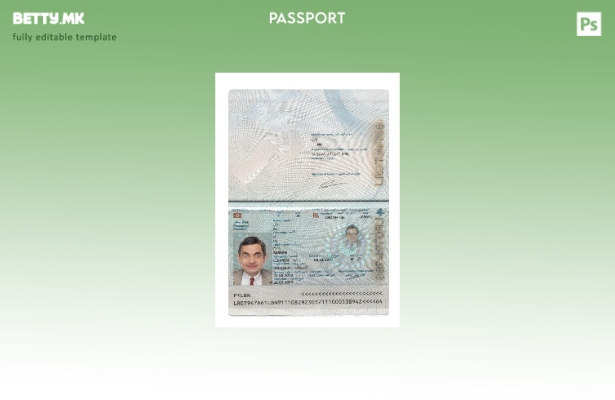 Модерен стил либански пасош сегашен шаблон