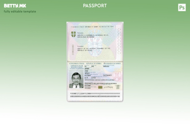 Модерен стил на Србија дипломатски пасош ( ) шаблон