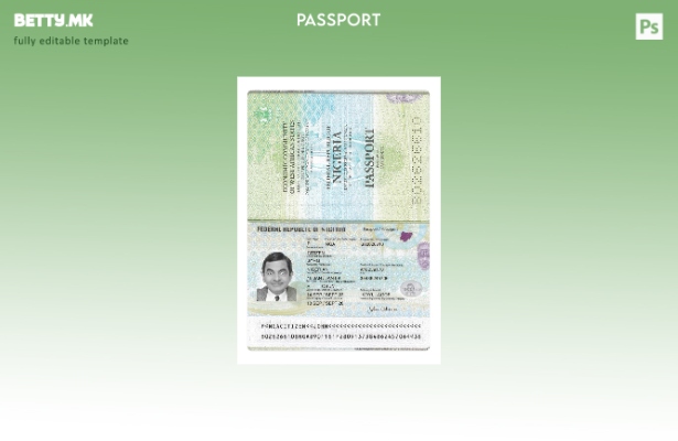 Модерен стил нигериски пасош сегашен шаблон