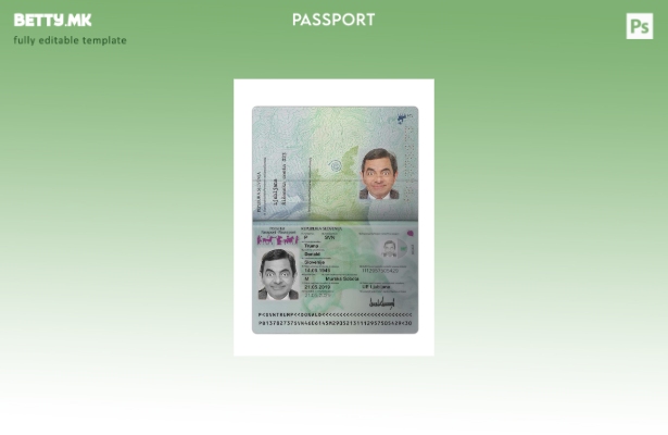 Модерен стил словенечки пасош сегашен шаблон