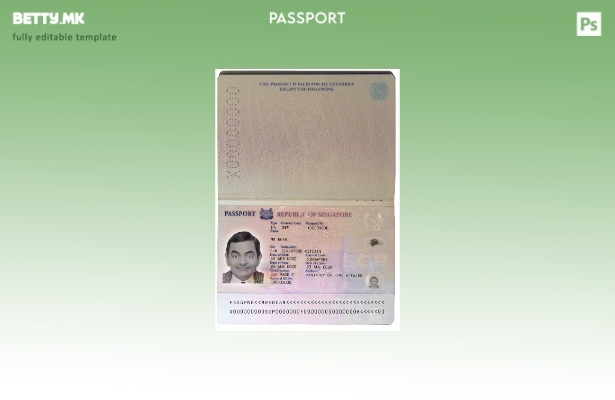 Модерен стил шаблон за Сингапурски пасош ( ).