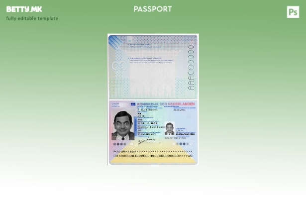 Модерен стил шаблон за холандски пасош ( – сегашен).