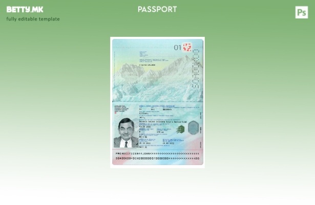 Модерен стил швајцарски пасош присутен шаблон