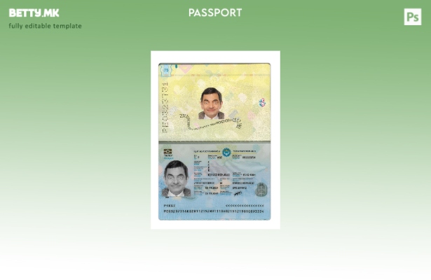 Модерен стил, сегашен шаблон за киргистански пасош