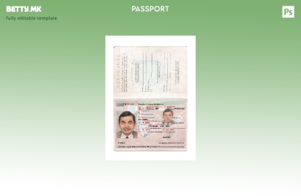 Модерен стил, сегашен шаблон за мексикански пасош