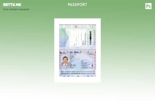 Модерен стил, сегашен шаблон за непалски пасош