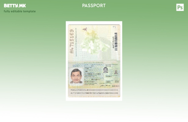 Модерен стил, сегашен шаблон за пасош на Еквадор 1