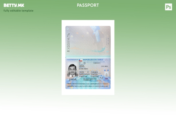 Модерен стил, сегашен шаблон за пасош на Чиле
