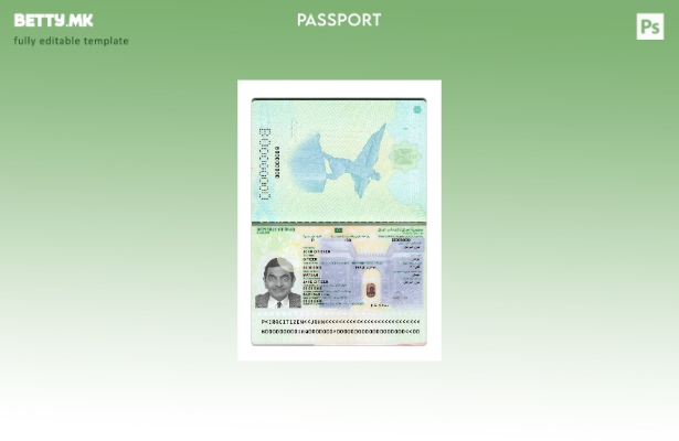 Модерен стилски шаблон за сегашен ирачки пасош 2