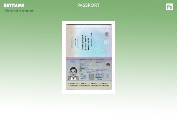 Модерен стилски шаблон за сегашен тајландски пасош